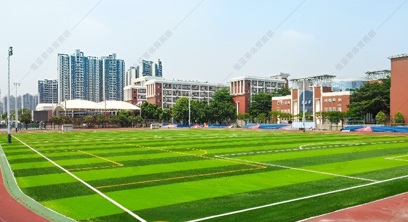 室外草(cǎo)坪：绿意盎然的运动场
