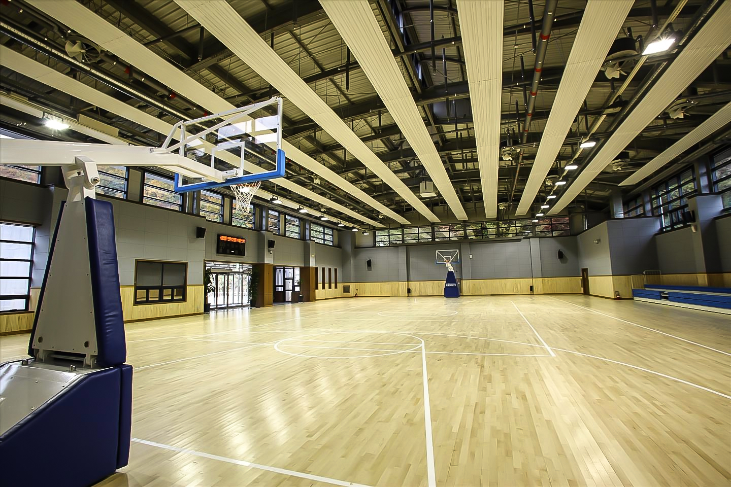 篮球场专用(yòng)地板